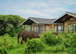 Lions Paw by Karibu Camps & Lodges