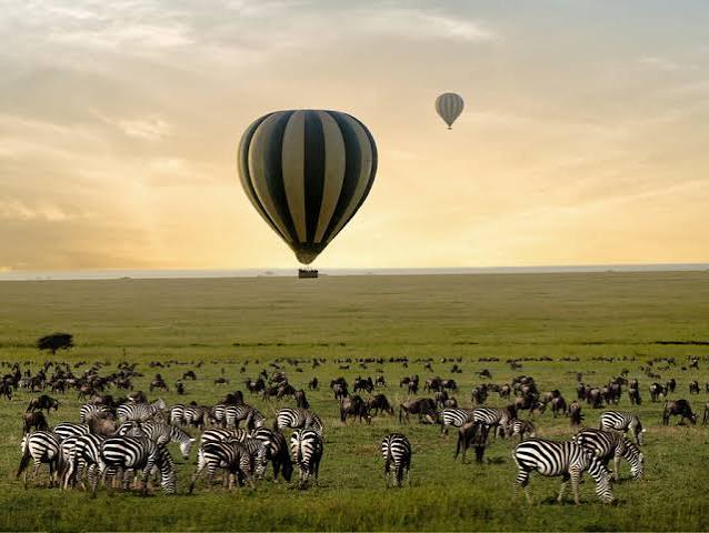 What to Expect on a Hot Air Balloon Safari in the Serengeti
