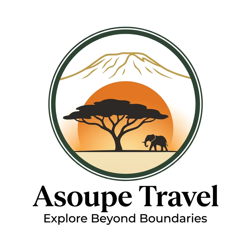 Asoupe Travel Logo