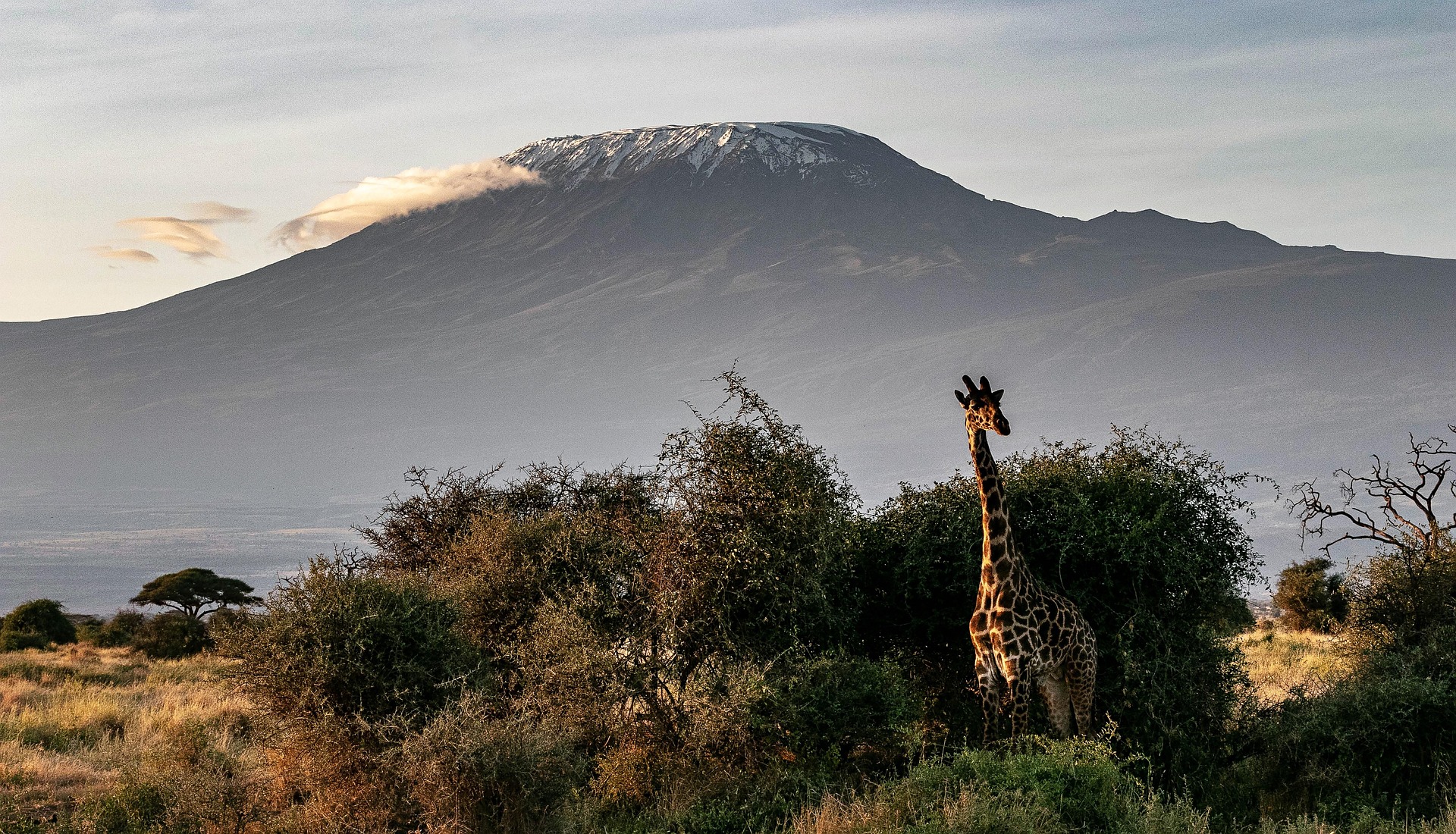 Tanzania Safari: 8 Days Mount Kilimanjaro Trek via Lemosho Route